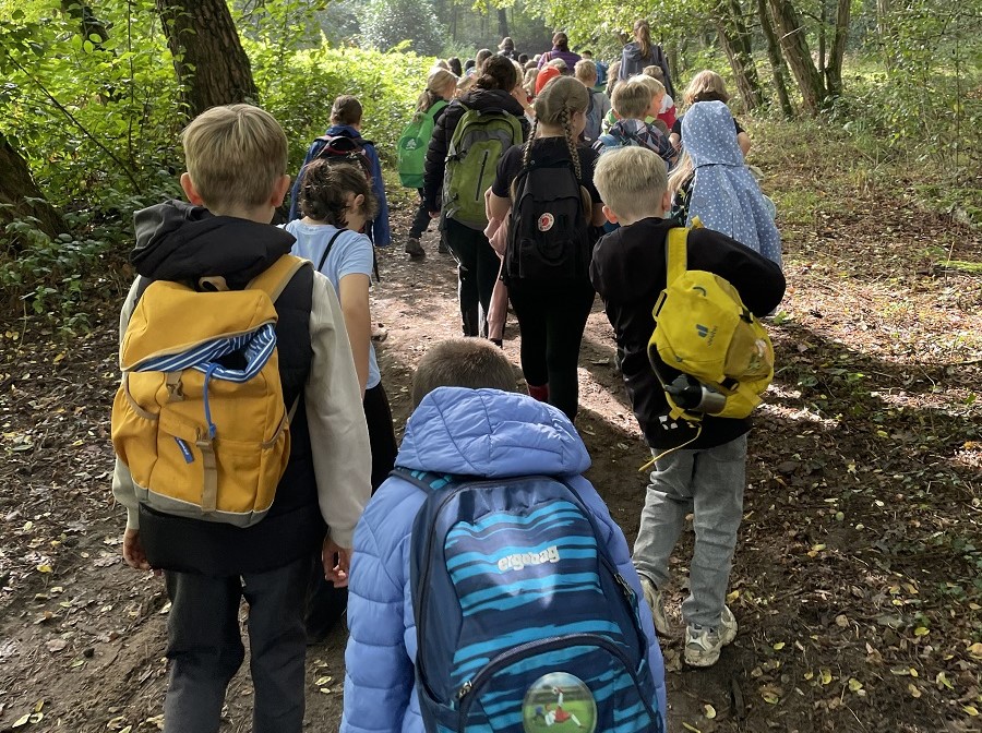 Waldtag in der Marienschule