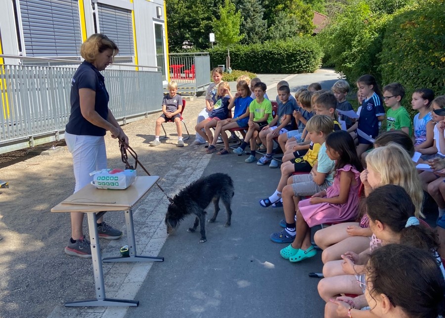 Eine Tierärztin in der Schule