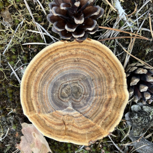 2024-09-09-wandertag-10