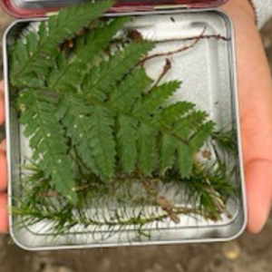 2024-09-09-wandertag-6