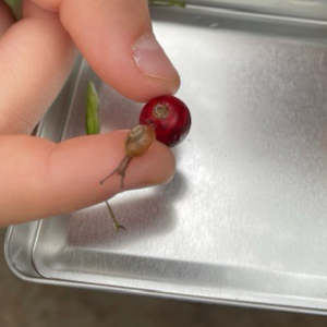 2024-09-09-wandertag-7