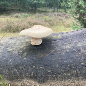 2024-09-09-wandertag-8