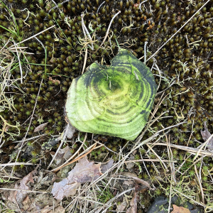 2024-09-09-wandertag-9