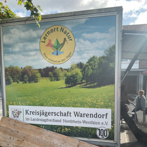 Rollenden Waldschule