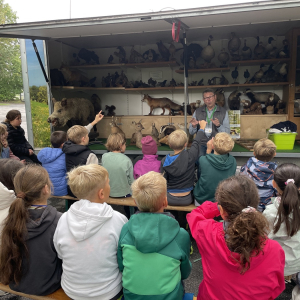 Waldtag in der Marienschule
